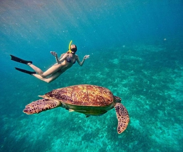 Gili Air: Snorkeling 3 Gili Islands with GoPro Camera