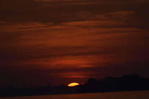 EXCURSION AU COUCHER DU SOLEIL DANS LE TAMBOPATA 3J/2N