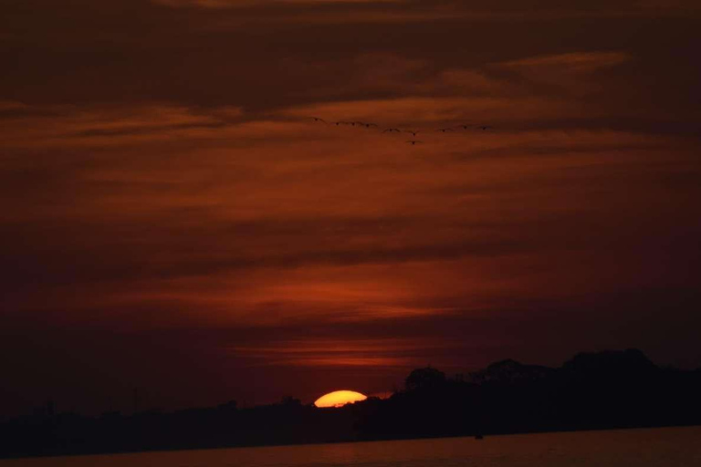 EXCURSION AU COUCHER DU SOLEIL DANS LE TAMBOPATA 3J/2N