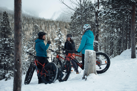 Levi: E-Fatbike Adventure to Find the Northern Lights