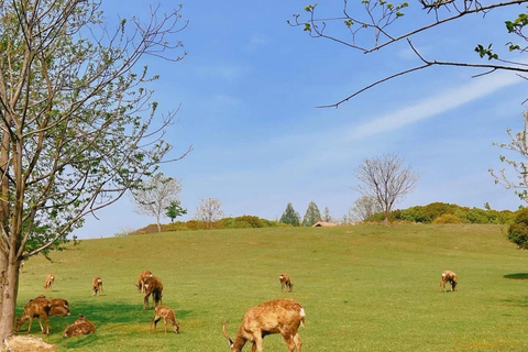 Hangzhou: Liangzhu Archaeological Site UNESCO Heritage Tour