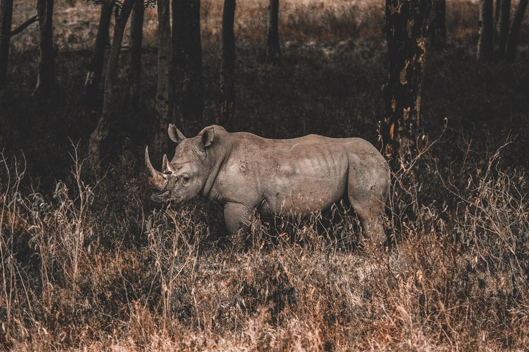 Vanuit Nairobi: Dagtocht naar de meren van Nakuru &amp; Naivasha Nationaal Park