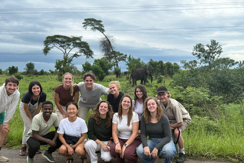 From Entebbe: 3-Days Uganda wildlife &chimpanzee trek Safari
