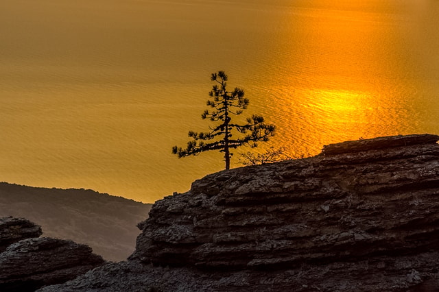 Sintra Sunset: Pena Palace & Cabo da Roca Private Tour