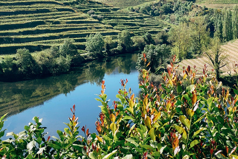 Vallée du Douro : visites privées avec dégustation de vins et déjeuner