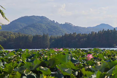 From Shanghai: Hangzhou Private Day Trip with Bullet Train