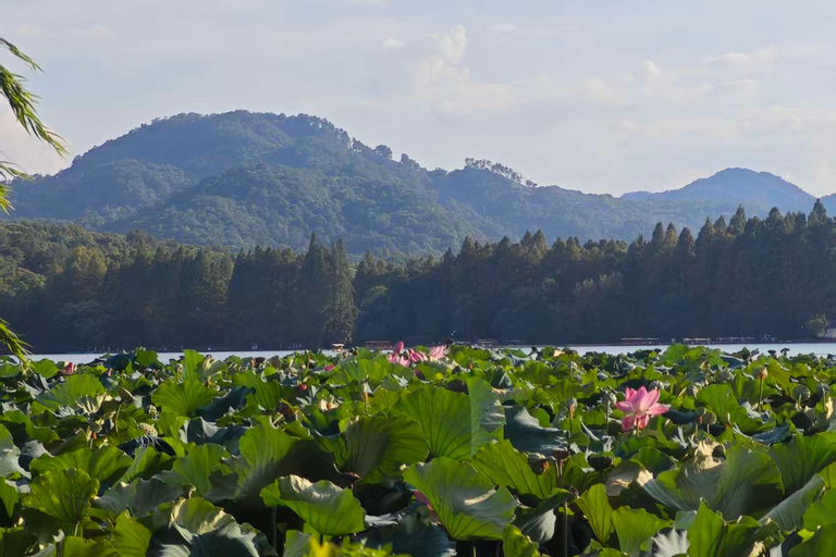 From Shanghai: Hangzhou Private Day Trip with Bullet Train