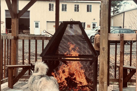Lévis: Husky Snactuary Visit with Hot or Cold Drink