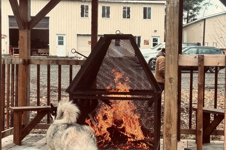 Lévis: Husky Snactuary Visit with Hot or Cold Drink