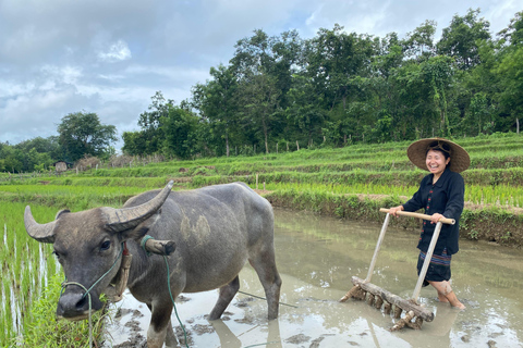 Luang Prabang: Rice Farm, Fishing & Picnic Experience