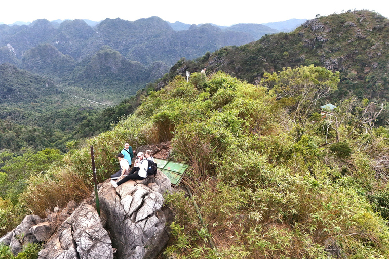 Half Day Hiking to Cat Ba National Park with a Guide