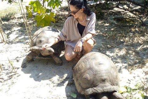 Zanzibar: Nungwi kilosa Conservation zoo half day tour Private tour for the gusts from Nungwi only