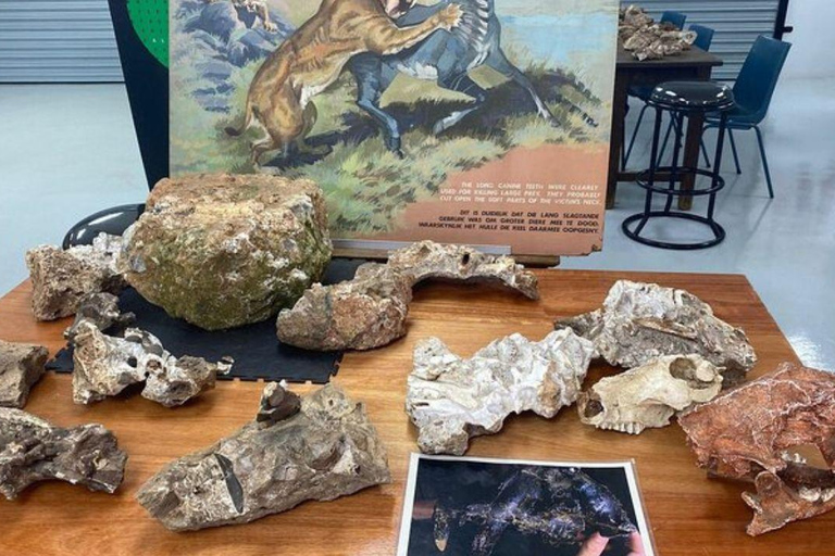 From Johannesburg: Cradle of Humankind Tour with Pickup