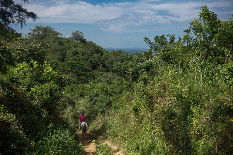 UTV & Horseback Tour with Wildlife Views from Cartagena