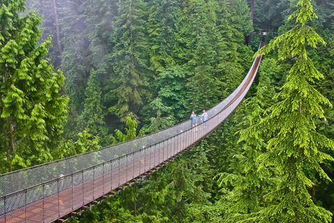 Jakarta: Bandung Volcano, Suspension Bridge and Hot Spring