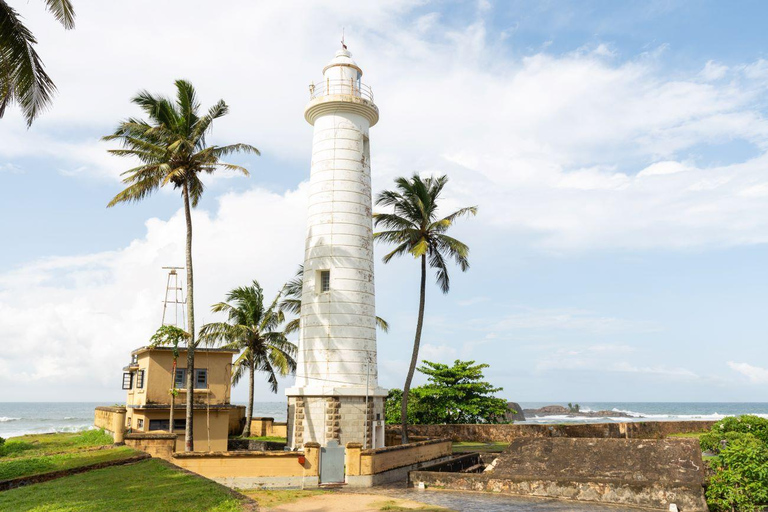 From Colombo: All Inclusive Galle Day Trip with Turtle Beach