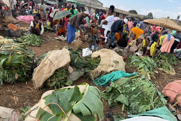 Addis Ababa: 14-Day Adventure and Nature Tour(customizable)