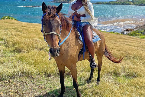 Experience Ocean & Village Horse Riding on Zanzibar Beach FOR GUESTS STAYING IN NORTH & EAST COAST AREAS. 30 MINUTES