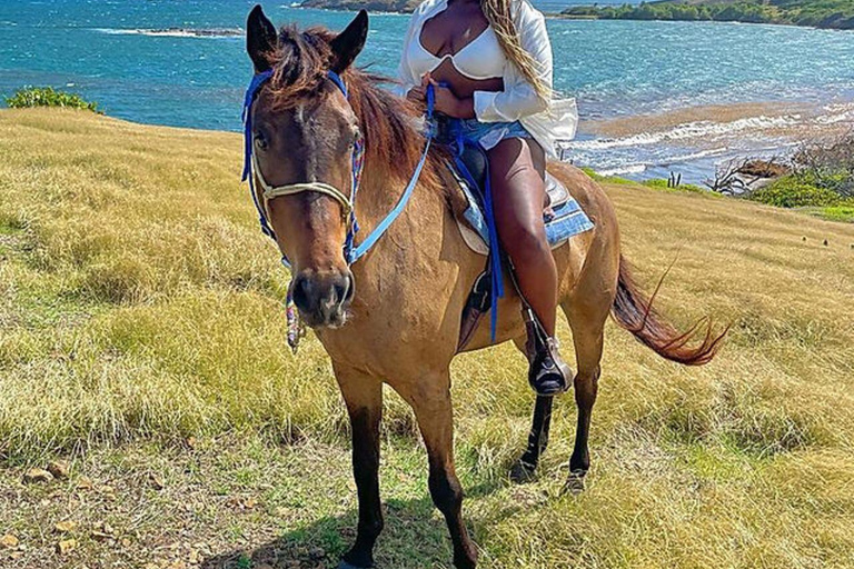 Experience Ocean & Village Horse Riding on Zanzibar Beach FOR GUESTS STAYING IN NORTH & EAST COAST AREAS. 30 MINUTES