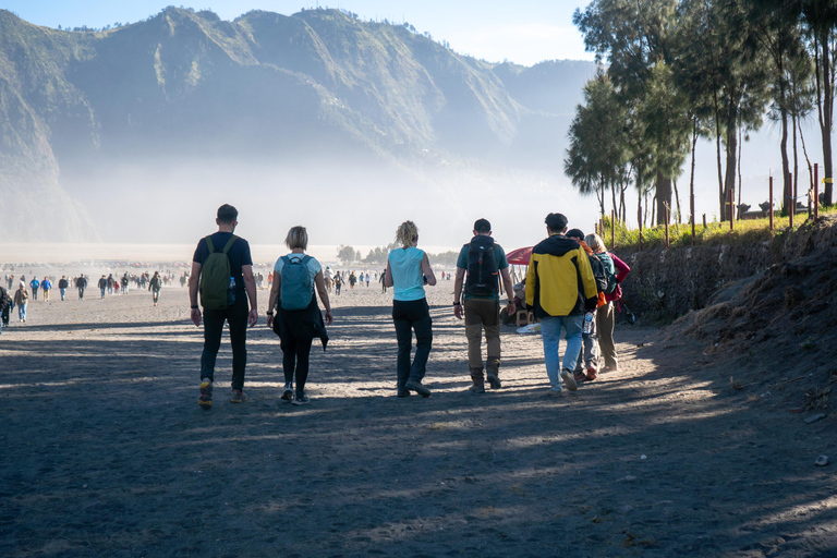 Z Bali: 5-dniowa wycieczka na górę Bromo i Ijen oraz do Yogyakarty