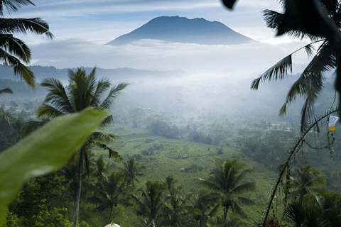 Ubud: Tour privato di templi, cascate e terrazze di risoTour di mezza giornata privato di Ubud 5-6 ore