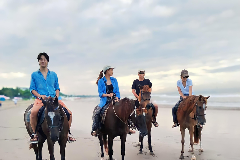 Bali: Paardrij tour op Seminyak strand inclusief vervoerBali: Paardrijden 1 uur Inclusief vervoer