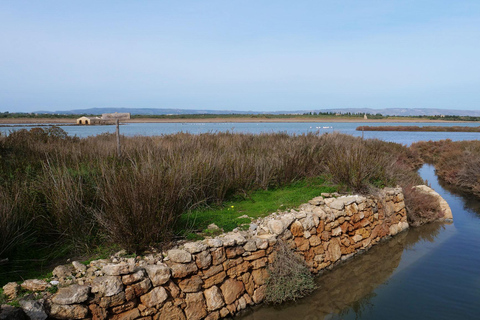 Catania: Vendicari, Marzamemi and Noto Day Trip