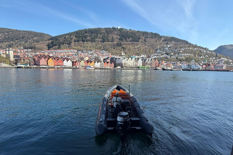 Bergen: RIB Boat Tour with Guide