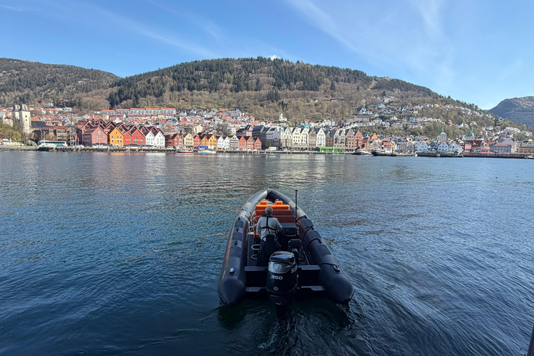 Bergen: RIB Boat Tour with Guide