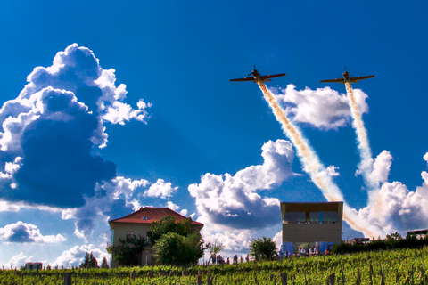 Bucharest: Discover the Magic of Romanian Wine