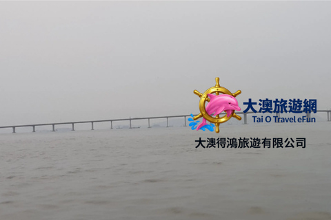 Tai O Dolphin Boat Tour + free gift (Tak Hung Travel)