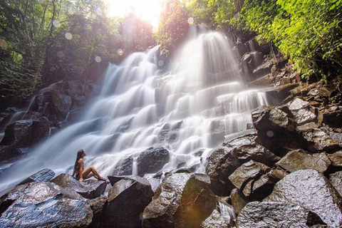 Ubud: Monkey Forest, Rice Terrace, Waterfall Private Tour Private Tour Without Entry Tickets