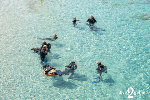 Half day Scuba Diving experience - no experience needed