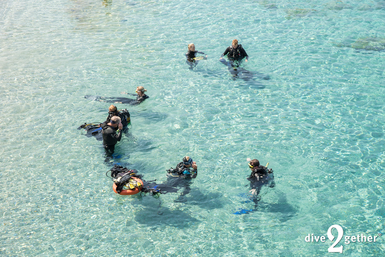 Experiencia de buceo de medio día - no se necesita experiencia