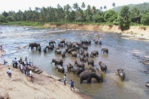 Sri Lanka: 3-tägige Hill Country Experience mit Zugfahrt