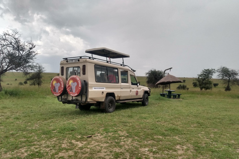 Safari in Africa alla settima meraviglia del mondo