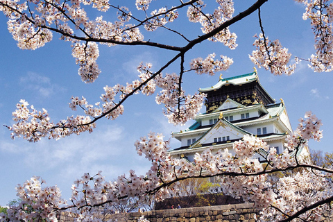 Visite guidée privée et personnalisée d'une journée à Osaka