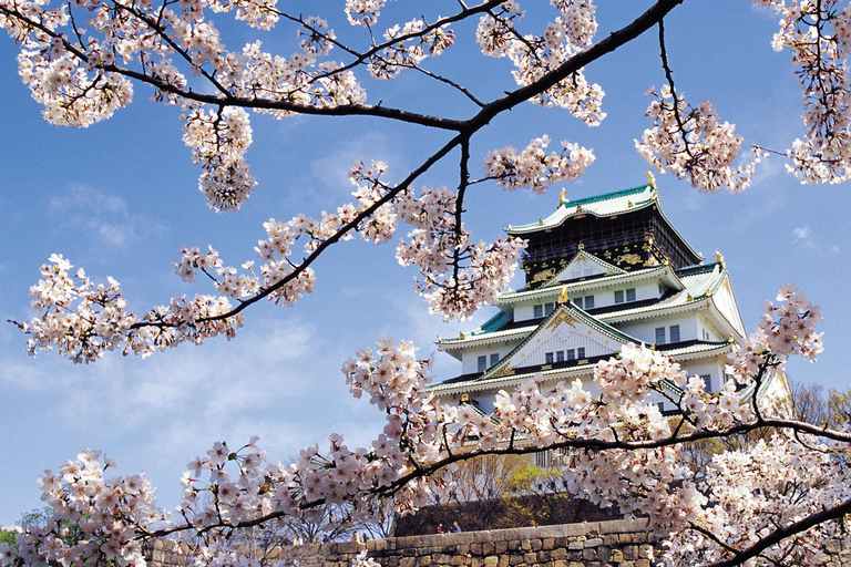 Visite guidée privée et personnalisée d'une journée à Osaka