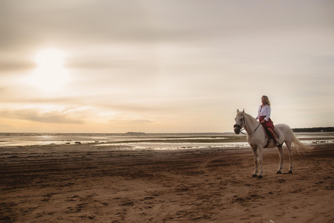 Aruba: Sunrise or Sunset Horseback Ride by the Coast Aruba: Private Sunrise or Sunset Horseback Ride by the Coast