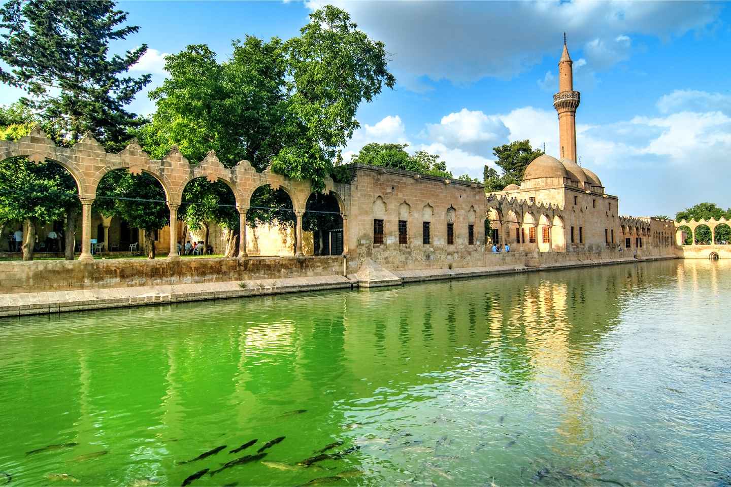 伊斯坦布尔往返：探索哥贝克力石阵一日游