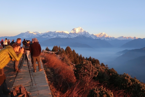 4 jours de randonnée à Poon Hill au départ de Pokhara