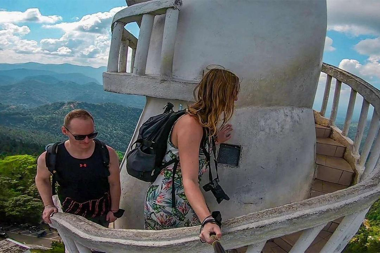 Nuwara Eliya to Kandy: Transfer with Waterfall & Tea Tour