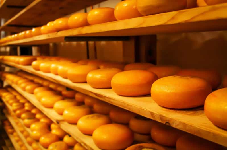 Rotterdam & Gouda: Guided Tour with Cheese Tasting