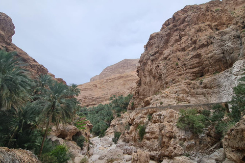 Muscat: Fins View, Wadi Jahal & Bimmah Tour
