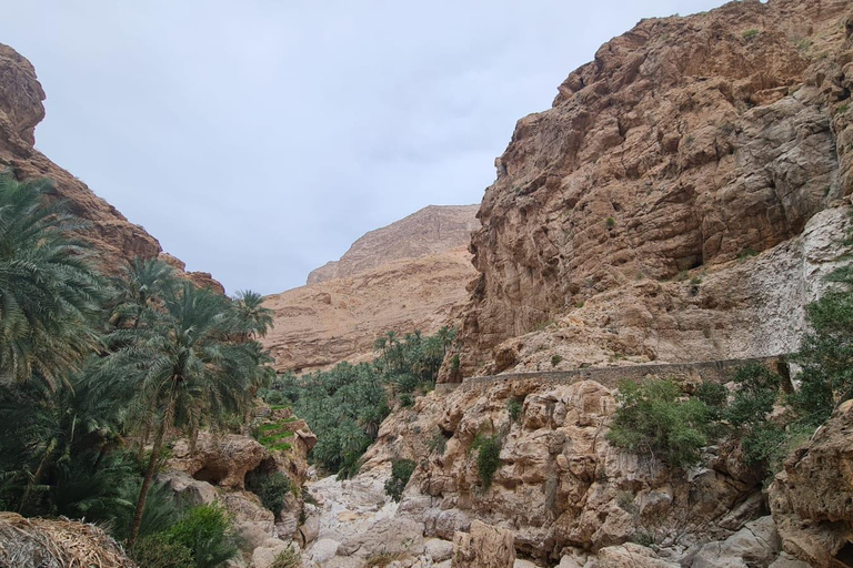 Muscat: Fins View, Wadi Jahal & Bimmah Tour
