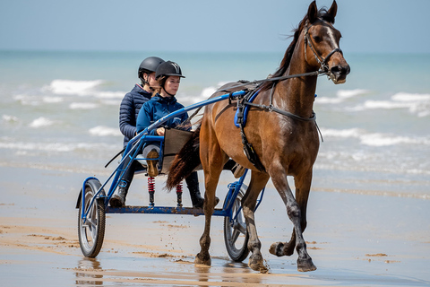 Omaha Beach : Baptême de sulky sur la plage