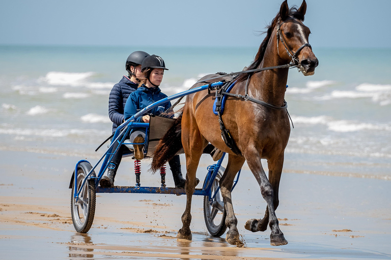 Omaha Beach: Sulky-dopet på stranden