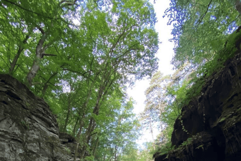 Mullerthal & Wolf's Gorge: Rock Walk with Clifftop Champagne