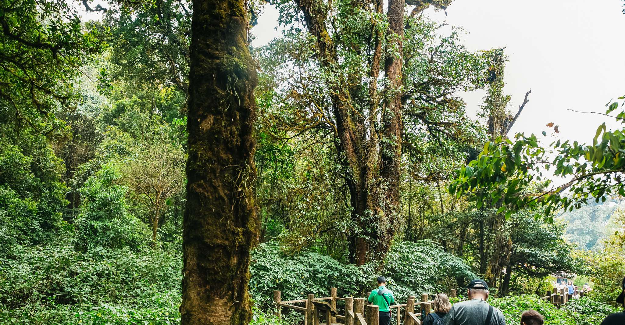 From Chiang Mai, Doi Inthanon National Park Day Trip - Housity