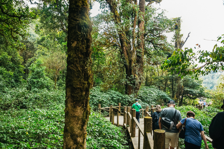 Doi Inthanon : excursion en petit groupe au parc nationalVisite en petit groupe sans les frais d'entrée